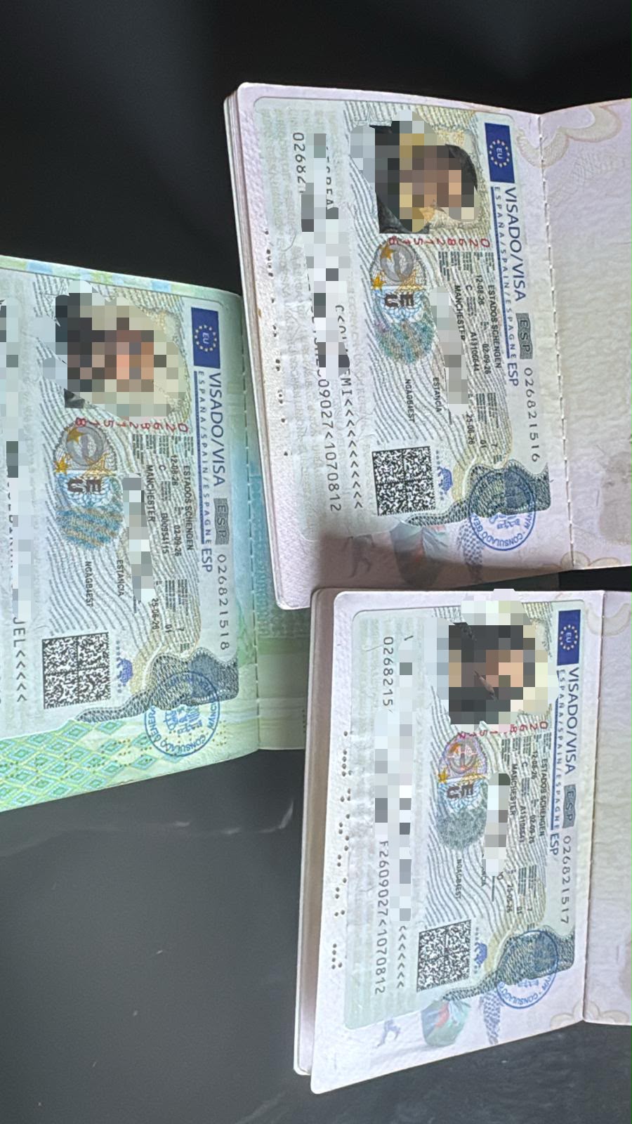 Travel and Tour